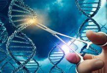 Éxito de CRISPR contra cánceres metastásicos Éxito de CRISPR contra cánceres metastásicos