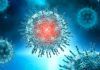 Confirman la mutación más contagiosa del nuevo coronavirus Confirman la mutación más virulenta del nuevo coronavirus