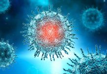 Confirman la mutación más contagiosa del nuevo coronavirus Confirman la mutación más virulenta del nuevo coronavirus