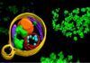 Stanford acoge al más avanzado centro de investigación especializado en crio-ET Stanford acoge al más avanzado centro de investigación especializado en crio-ET
