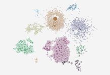 Procesos moleculares dejan vulnerables a los diabéticos ante Covid-19 Procesos moleculares dejan vulnerables a los diabéticos ante Covid-19