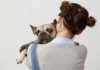 Perros con diabetes: ¿dueños diabéticos? Perros con diabetes: ¿dueños diabéticos?
