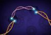 Adaptan la cámara del móvil para detectar SARS-CoV-2 Hacia una vacuna contra el cáncer de células tumorales vivas con CRISPR
