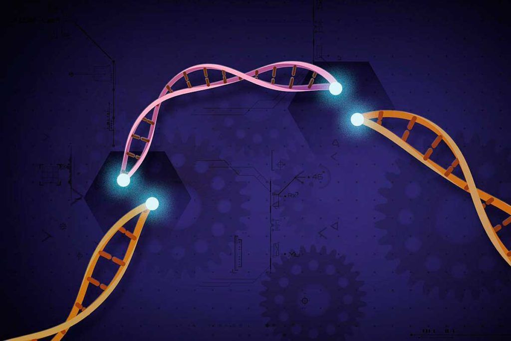 Hacia una vacuna contra el cáncer de células tumorales vivas con CRISPR