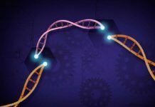 Adaptan la cámara del móvil para detectar SARS-CoV-2 Hacia una vacuna contra el cáncer de células tumorales vivas con CRISPR