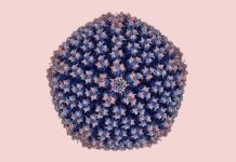 El virus de la diarrea abre la puerta a posibles vacunas orales, también contra el coronavirus El virus de la diarrea abre la puerta a posibles vacunas orales contra el coronavirus