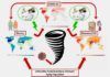 Interconexión entre pandemias: obesidad, deterioro de la salud metabólica y Covid-19 Interconexión entre pandemias: obesidad, deterioro de la salud metabólica y Covid-19