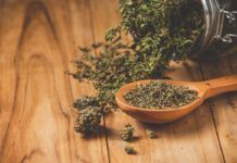 El cannabis reduce la tensión en mayores El cannabis reduce la tensión en mayores