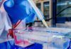 Prometedor antiviral de amplio espectro contra SARS-CoV-2 Prometedor antiviral de amplio espectro contra SARS-CoV-2