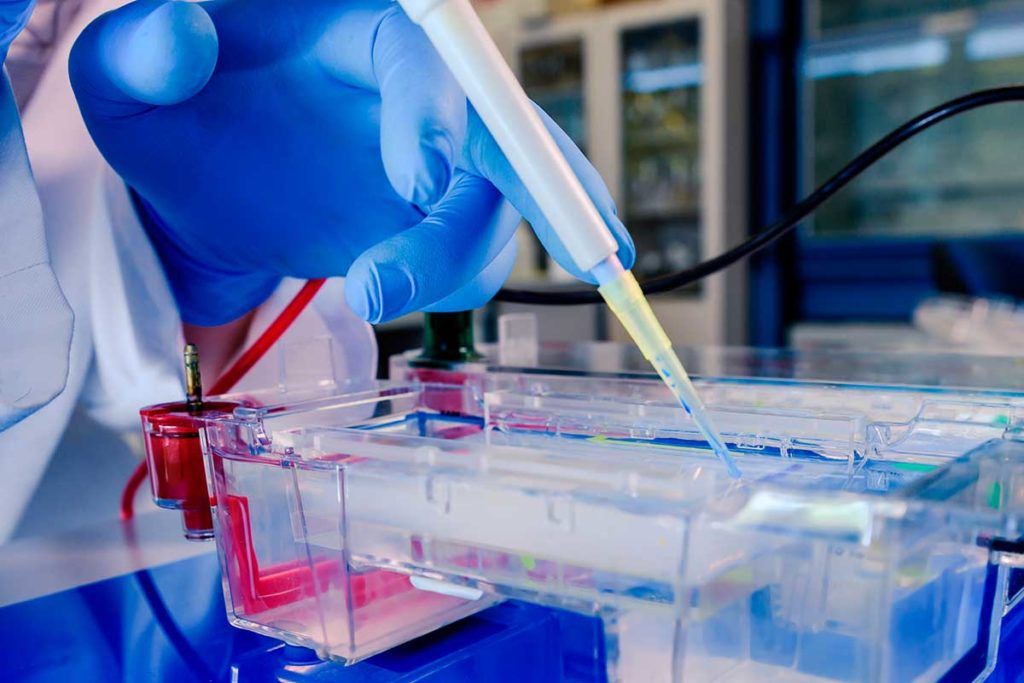 Prometedor antiviral de amplio espectro contra SARS-CoV-2