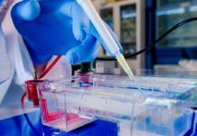 Prometedor antiviral de amplio espectro contra SARS-CoV-2 Prometedor antiviral de amplio espectro contra SARS-CoV-2