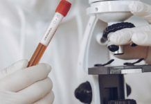 Más de 87.000 artículos científicos sobre el coronavirus en cinco meses Más de 87.000 artículos científicos sobre el coronavirus en pocos meses