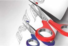 Diagnóstico rápido de coronavirus con ‘tijeras moleculares’ Diagnóstico rápido de coronavirus con 'tijeras moleculares'