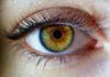 Identifican 50 nuevos genes que intervienen en el color de los ojos Identifican 50 nuevos genes que intervienen en el color de los ojos