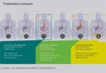 Identifican seis subtipos de prediabetes Identifican seis subtipos de prediabetes