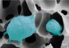 ¿Cómo se hace resistente el cáncer de próstata? ¿Cómo se hace resistente el cáncer de próstata?