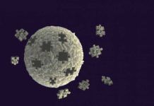 Dr. García Barreno: A propósito de Craig Venter y las células sintéticas Dr. García Barreno: A propósito de Craig Venter y las células sintéticas