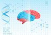 Avance en Alzheimer: hallan 13 nuevos genes raros implicados en su aparición Avance en Alzheimer: hallan 13 nuevos genes raros implicados en su aparición