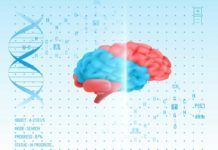 Avance en Alzheimer: hallan 13 nuevos genes raros implicados en su aparición Avance en Alzheimer: hallan 13 nuevos genes raros implicados en su aparición