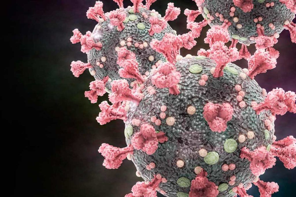 Identifican genes humanos que combaten al SARS-CoV-2