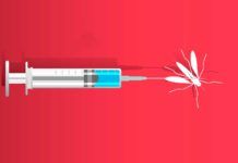 Logran vacuna contra la malaria con eficacia del 77% EE UU sigue expuesta al dengue, al retirar Takeda su candidata a vacuna