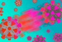 Las variantes del coronavirus, entre la preocupación y el interés Las variantes del coronavirus, entre la preocupación y el interés