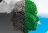 Identifican 64 regiones del genoma que aumentan el riesgo de trastorno bipolar Identifican más de 60 regiones del genoma que aumentan el riesgo de trastorno bipolar