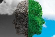 Identifican 64 regiones del genoma que aumentan el riesgo de trastorno bipolar Identifican más de 60 regiones del genoma que aumentan el riesgo de trastorno bipolar