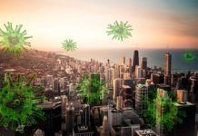 Las ciudades tienen una ‘huella digital’ única por sus virus y bacterias Las ciudades tienen una ‘huella digital’ única por sus virus y bacterias