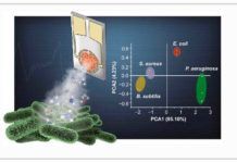 ‘Nariz artificial’ para el seguimiento bacteriano continuo ‘Nariz artificial’ para el seguimiento bacteriano continuo