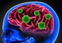 Covid-19 daña el cerebro de algunos enfermos como lo hace el mal de Alzheimer Covid-19 daña el cerebro de algunos infectados como hace el mal de Alzheimer