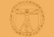 Leonardo Da Vinci tiene 14 descendientes vivos Leonardo Da Vinci tiene 14 descendientes vivos