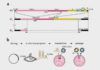 Utilizan un virus sintético igual que el SARS-CoV-2 para acabar con él Utilizan un virus sintético igual que el SARS-CoV-2 para acabar con él