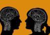 ¿Son diferentes los cerebros con autismo de mujeres y hombres? ¿Son diferentes los cerebros con autismo de mujeres y hombres?