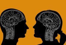 ¿Son diferentes los cerebros con autismo de mujeres y hombres? ¿Son diferentes los cerebros con autismo de mujeres y hombres?