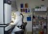 Identifican un anticuerpo que protege contra variantes del SARS-CoV-2 Identifican un anticuerpo que protege contra variantes del SARS-CoV-2