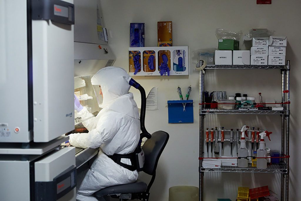 Identifican un anticuerpo que protege contra variantes del SARS-CoV-2