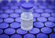 Vacuna de Pfizer: posible corta duración de la inmunidad humoral Vacuna de Pfizer: posible corta duración de la inmunidad humoral