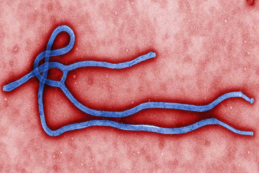Éxito de la vacuna preventiva contra el virus del Ébola