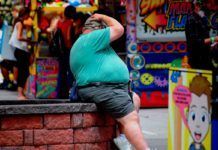 La mitad de los adultos en EE UU son obesos La mitad de los adultos en EE UU son obesos