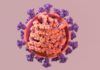 ¿Por qué la variante delta es más contagiosa? Observando a la proteína N ¿Por qué la variante Delta es más contagiosa? Observando a la proteína N