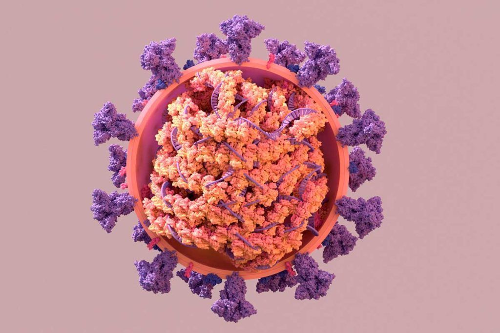 ¿Por qué la variante Delta es más contagiosa? Observando a la proteína N