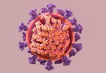 ¿Por qué la variante delta es más contagiosa? Observando a la proteína N ¿Por qué la variante Delta es más contagiosa? Observando a la proteína N