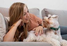 Los perros intercambian miradas con sus dueños para lograr comida Los perros intercambian miradas con sus dueños para lograr comida