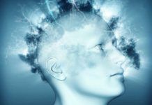 Un centenar de neuronas para recuperar los recuerdos Un centenar de neuronas para recuperar los recuerdos