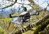 Novedoso robot que se agarra a los árboles como un pájaro Novedoso robot que se agarra a los árboles como un pájaro