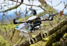 Novedoso robot que se agarra a los árboles como un pájaro Novedoso robot que se agarra a los árboles como un pájaro