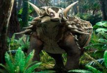 El anquilosaurio austríaco era lento y sordo El anquilosaurio austríaco era lento y sordo