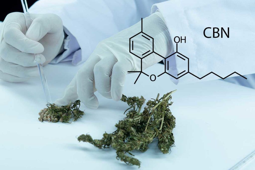 El cannabinol previene el daño oxidativo de las neuronas