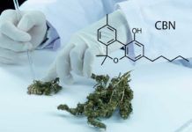 El cannabinol previene el daño oxidativo de las neuronas El cannabinol previene el daño oxidativo de las neuronas